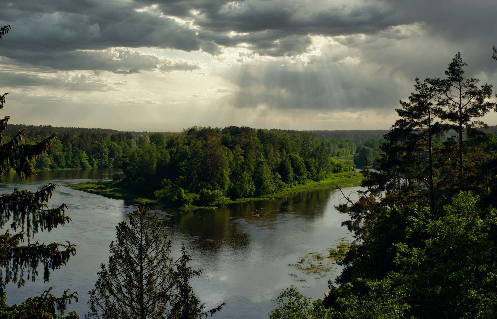 River landscape in Lithuanian nature